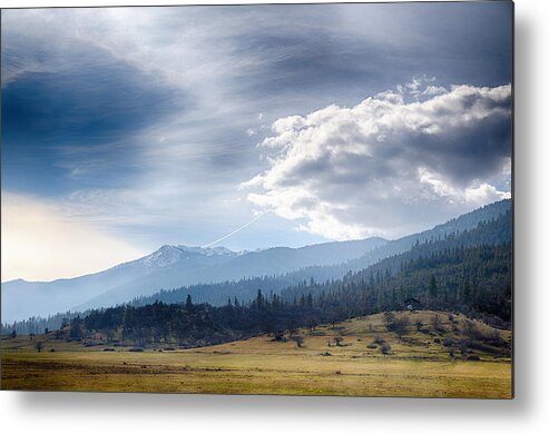 Weed Metal Print featuring the photograph Weed California by Digiblocks Photography