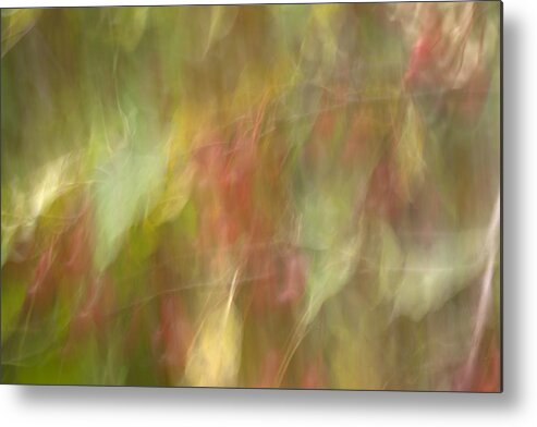 Abstract Metal Print featuring the photograph Weeping Crabapple by Eunice Gibb