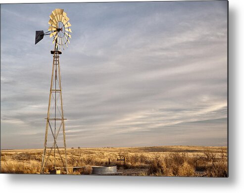 American Landmarks Metal Print featuring the photograph West Texas Sentry by Melany Sarafis