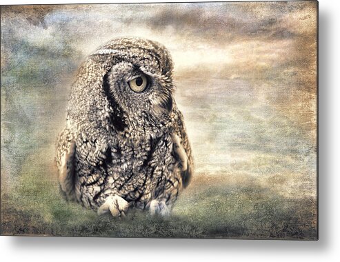 Owl Metal Print featuring the photograph Western Screech Owl by Barbara Manis