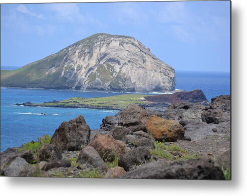Whale Metal Print featuring the photograph Whale Rock Formation by Amanda Eberly