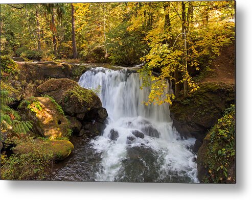 A. Circinatum Metal Print featuring the photograph Whatcom Falls by Michael Russell