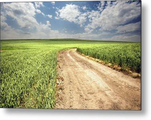 Scenics Metal Print featuring the photograph Wheat Field And Dirt Road by Fgorgun