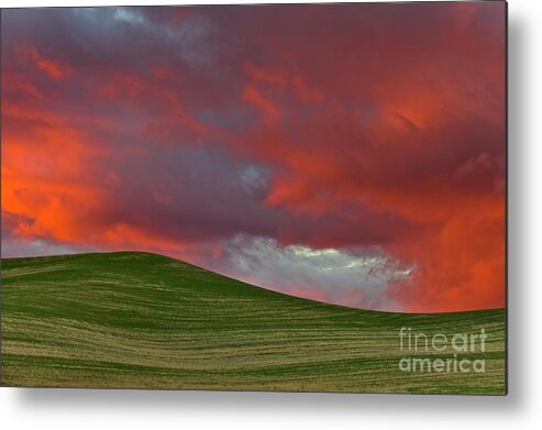 00559268 Metal Print featuring the photograph Wheat Field At Sunset by Yva Momatiuk John Eastcott