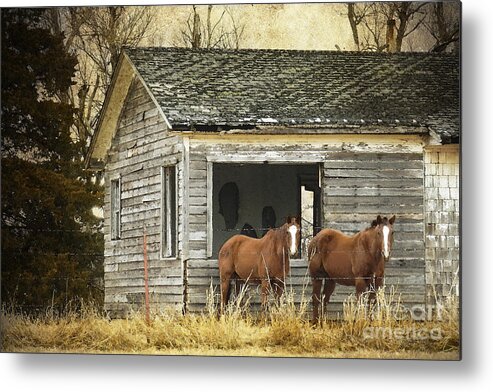 Old House Metal Print featuring the photograph Where Are the People by Betty LaRue