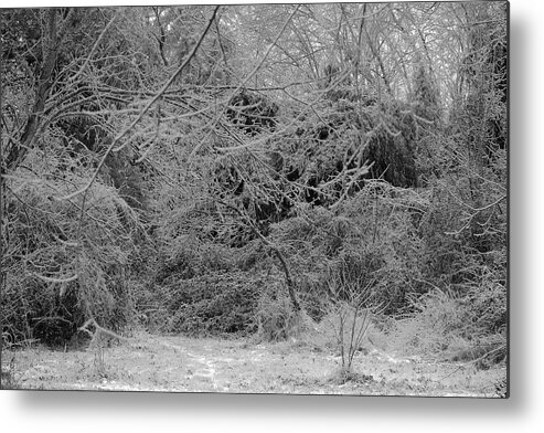 Ice Metal Print featuring the photograph Where Is The Trail by Daniel Reed