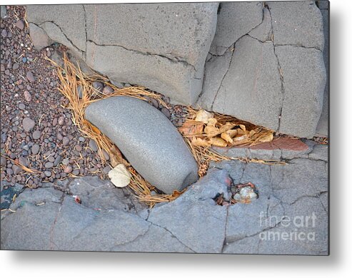 Nature Metal Print featuring the photograph Where The Pine Needles Go by Jim Simak