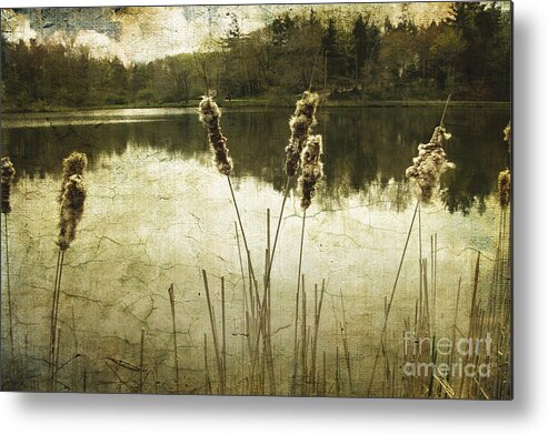 Ohio Metal Print featuring the photograph Where Time Stands Still by Ellen Cotton