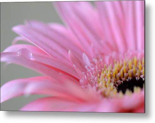 Flower Metal Print featuring the photograph Wherever Your Heart Is by Melanie Moraga