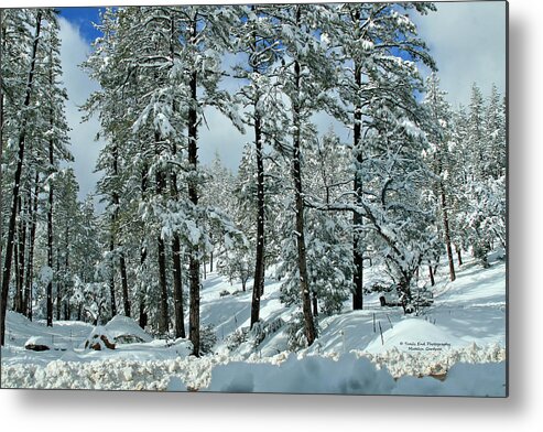 Landscape Metal Print featuring the photograph Whispering Snow by Matalyn Gardner