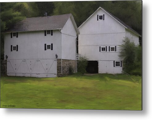 Barns Metal Print featuring the photograph White Barns by Fran Gallogly