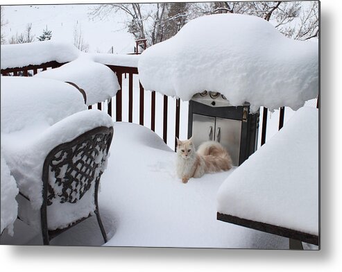 Nature Metal Print featuring the photograph White On White by Lorraine Baum