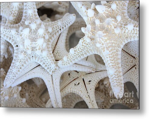 White Metal Print featuring the photograph White Starfish by Carol Groenen