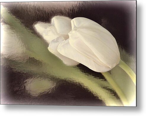 Flower Metal Print featuring the photograph White Tulip Reflected in Misty Water by Phyllis Meinke