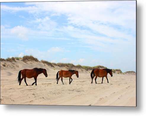 Wild Horses Of Corolla - Outer Banks Obx Ocean Sand Dune Atlantic North Carolina Vacation Duck Currituck Water Travel Trip Remote Metal Print featuring the mixed media Wild Horses of Corolla - Outer Banks OBX by Design Turnpike