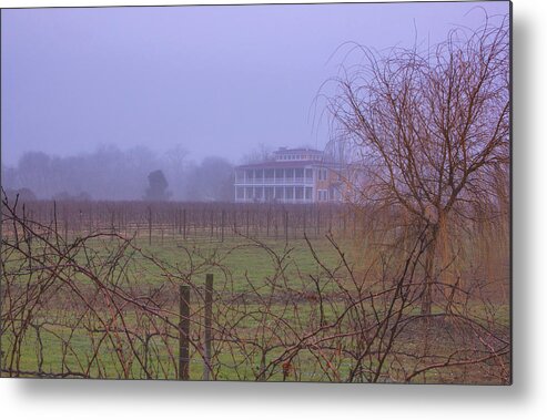 West Cape May New Jersey Metal Print featuring the photograph Willow Creek In Fog by Tom Singleton