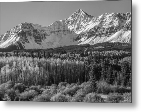 Wilson Metal Print featuring the photograph Wilson Peak Black and White by Aaron Spong