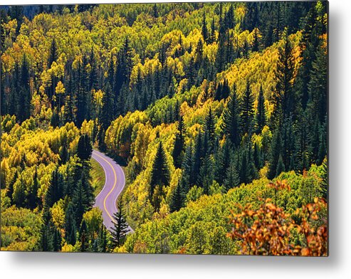 Mcclure Pass Metal Print featuring the photograph Winding Road by Allen Beatty