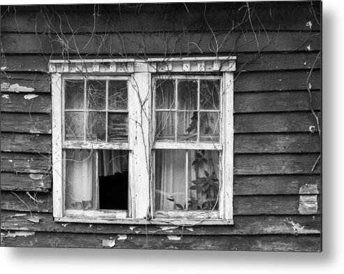 Johns Island Metal Print featuring the photograph Window Dressing by Patricia Schaefer