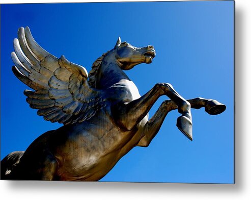Horse Metal Print featuring the photograph Winged Wonder II by Norma Brock