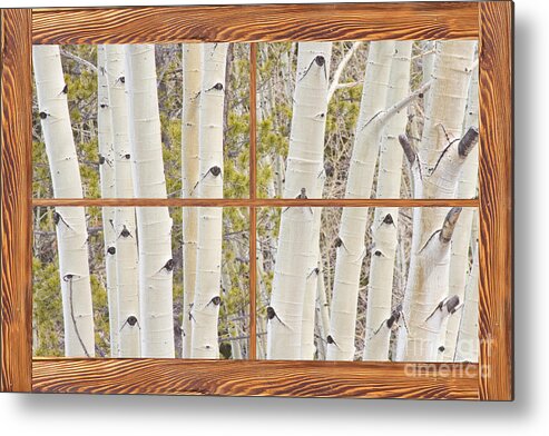 Trees Metal Print featuring the photograph Winter Aspen Tree Forest Barn Wood Picture Window Frame View by James BO Insogna