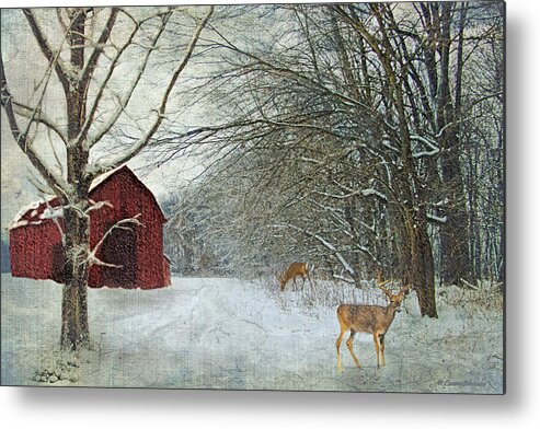 Winter Metal Print featuring the digital art Winter Barn by Lianne Schneider