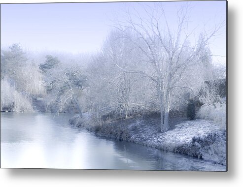 Beauty Metal Print featuring the photograph Winter Blue and White by Julie Palencia