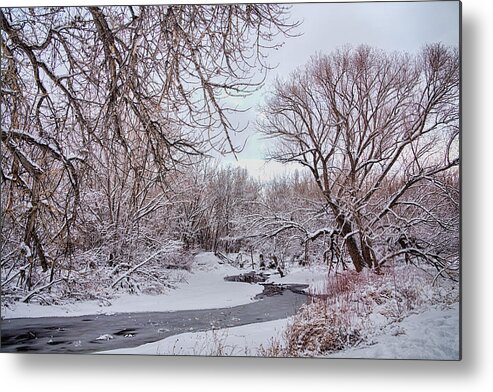 Winter Metal Print featuring the photograph Winter Creek by James BO Insogna