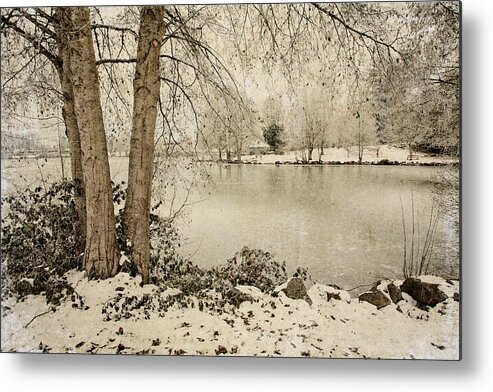 Winter Metal Print featuring the photograph Winter Freeze by Bonnie Bruno
