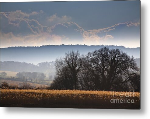 Winter Metal Print featuring the photograph Winter Morning by Jan Bickerton
