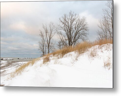Winter Seascape Canvas Print Metal Print featuring the photograph Winter Sand Dune by Karen English
