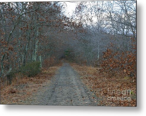 Landscape Metal Print featuring the photograph New England Winter Journey by Neal Eslinger