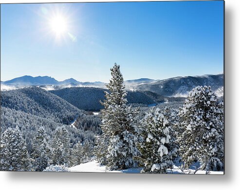 Nature Metal Print featuring the photograph Winter Scenery With Pine Trees by Will McKay