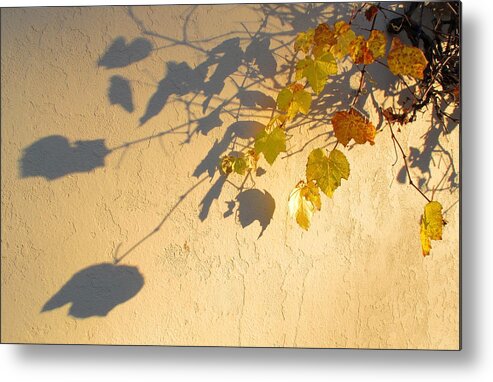 Sunset Metal Print featuring the photograph Winter Shadows by Derek Dean