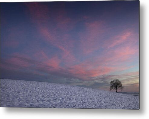 Winter Metal Print featuring the photograph Winter sunrise by Dominique Dubied