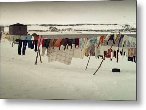 Clothes Line Metal Print featuring the photograph Winter Wash Day Labrador by Douglas Pike