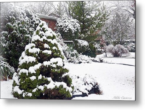 Seasonal Metal Print featuring the photograph Winter white by Mikki Cucuzzo