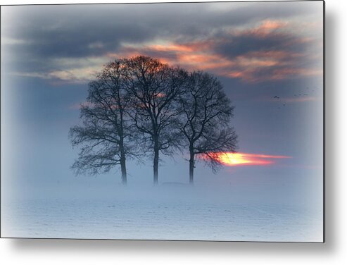 Scenics Metal Print featuring the photograph Winterlandscape by Dewollewei