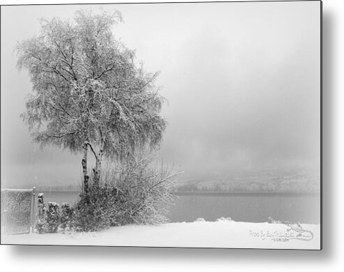  Metal Print featuring the photograph WinterPark04 by Guy Hoffman