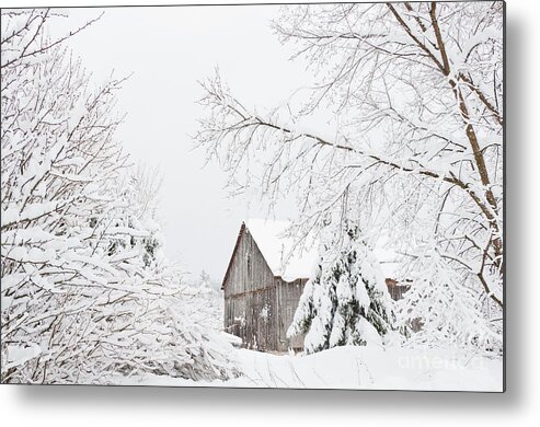 Landscapes Metal Print featuring the photograph Winter's End by Cheryl Baxter