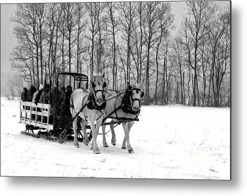 Winter Metal Print featuring the photograph Winters Rest by Brenda Giasson