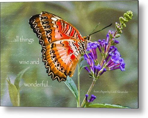 Karen Stephenson Photography Metal Print featuring the photograph Wise and Wonderful by Karen Stephenson