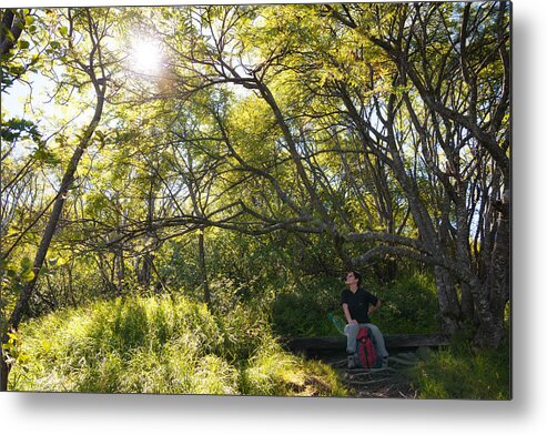 Sun Metal Print featuring the photograph Woman sitting on bench - bright green trees sun is shining by Matthias Hauser