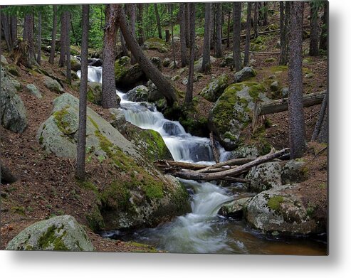 Chicago Creek Metal Print featuring the photograph Wooded Stream by Matt Helm