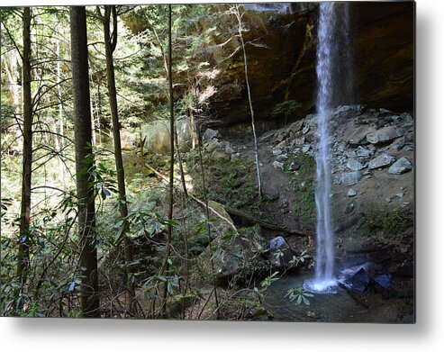 Featured Metal Print featuring the photograph Yahoo Falls in Spring by Stacie Siemsen