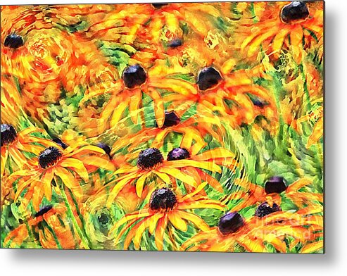 Yellow Metal Print featuring the photograph Dancing Susans by Geraldine DeBoer