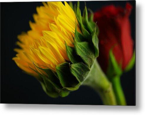 Flower Metal Print featuring the photograph Yellow floral by Jeff Swan