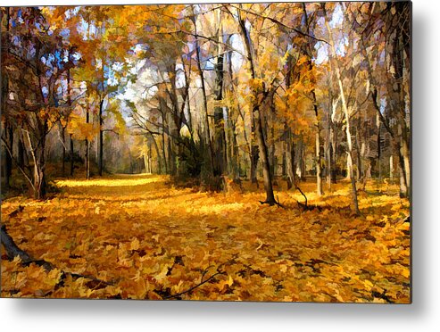 Bucks County Metal Print featuring the photograph Yellow Leaf Road by William Jobes