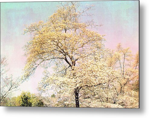 Dreamy Yellow Nature Trees Metal Print featuring the photograph Yellow Pink Nature Trees - Dreamy Fantasy Surreal Yellow Pink Golden Trees Nature Landscape by Kathy Fornal