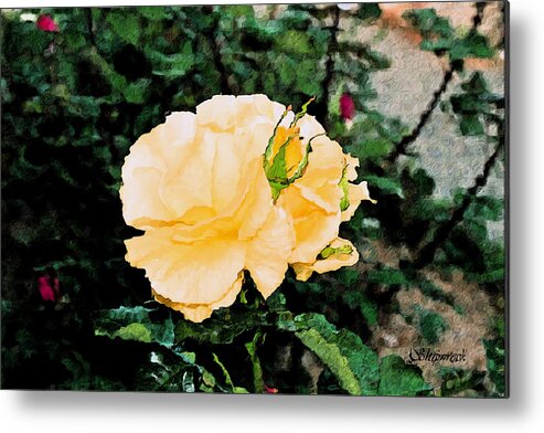 Rose Metal Print featuring the digital art Yellow Rose and Bud by Christopher Bage